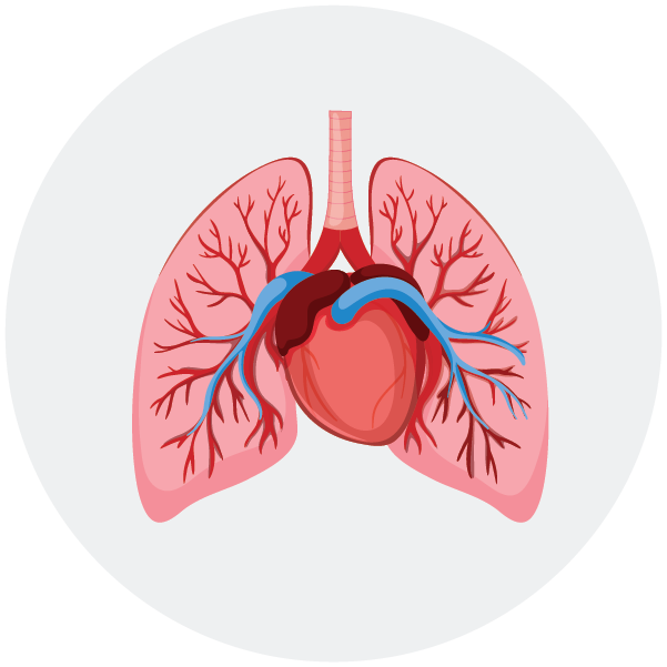 Health Education and Counselling